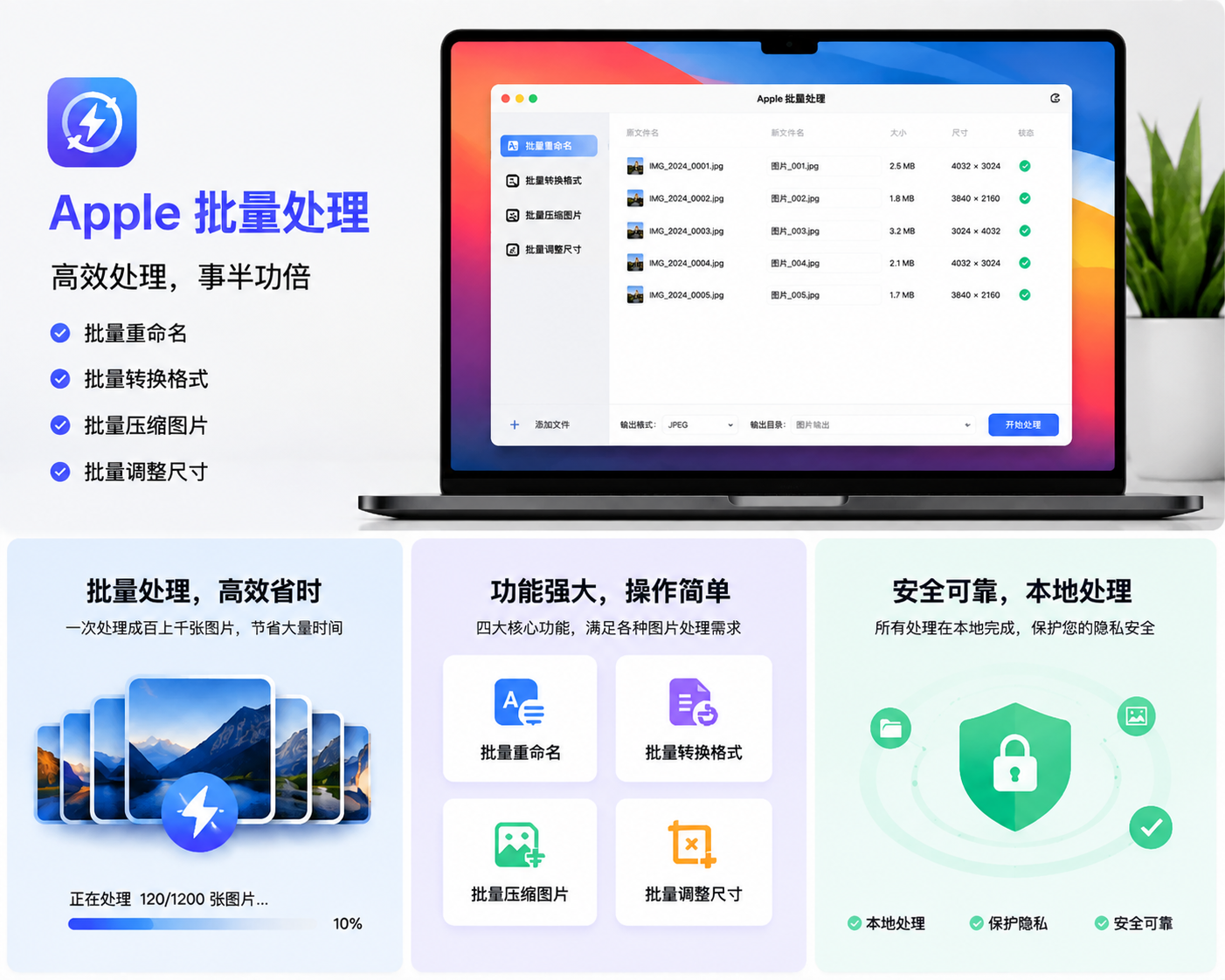 数据亮点